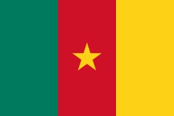 cameroun_flag